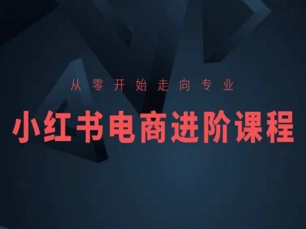从零开始走向专业，小红书电商进阶课程-木石资源网