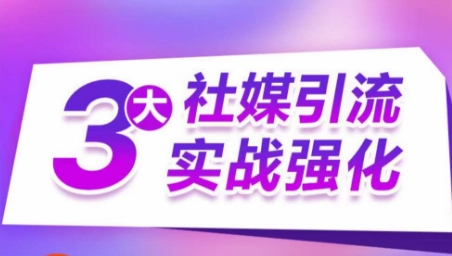3大社媒引流实战强化，多渠道站外引流，高效精准获客，订单销售额翻倍增长-木石资源网