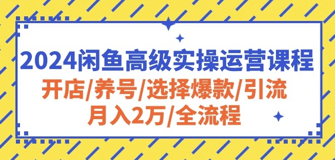 2024闲鱼高级实操运营课程：开店/养号/选择爆款/引流/月入2万/全流程-木石资源网