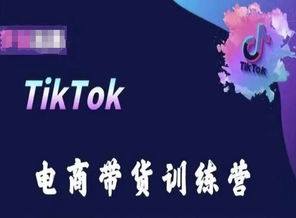 TikTok电商带货训练营，跟随时代潮流，跨境掘金-木石资源网