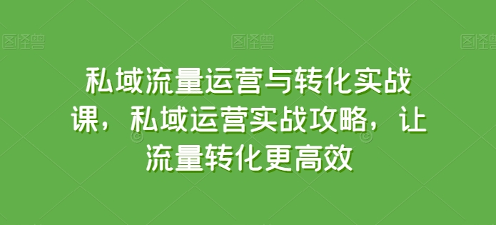 私域流量运营与转化实战课，私域运营实战攻略，让流量转化更高效-木石资源网