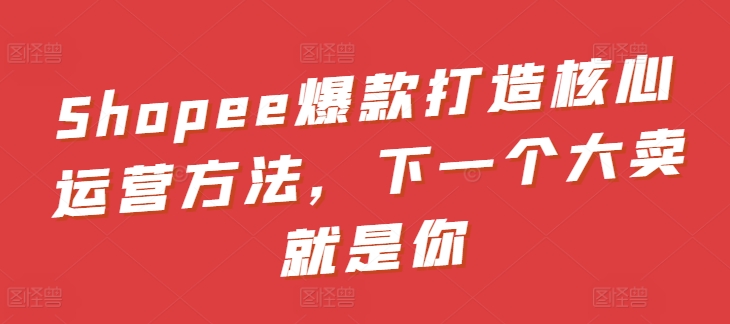 Shopee爆款打造核心运营方法，下一个大卖就是你-木石资源网