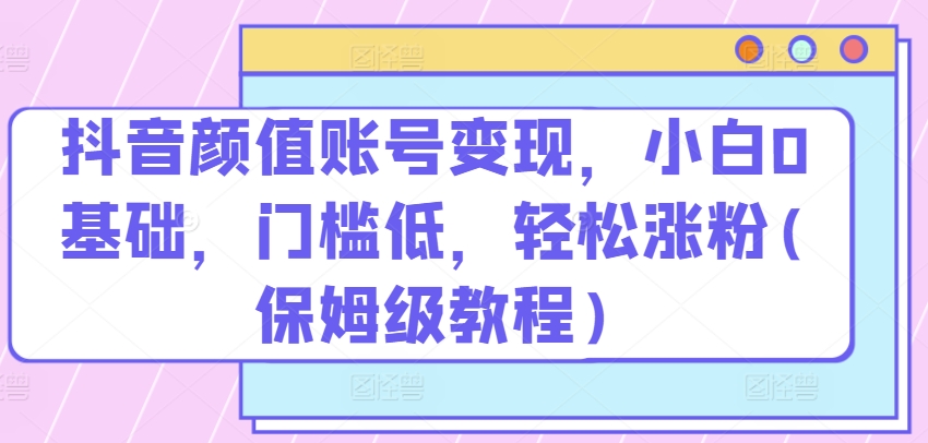 抖音颜值账号变现，小白0基础，门槛低，​轻松涨粉(保姆级教程)【揭秘】-木石资源网