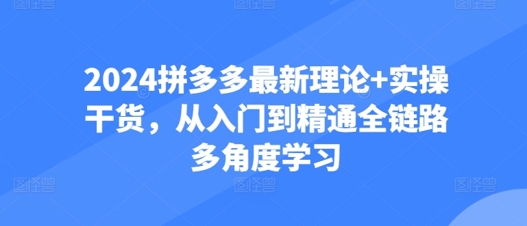 2024拼多多最新理论+实操干货，从入门到精通全链路多角度学习-木石资源网