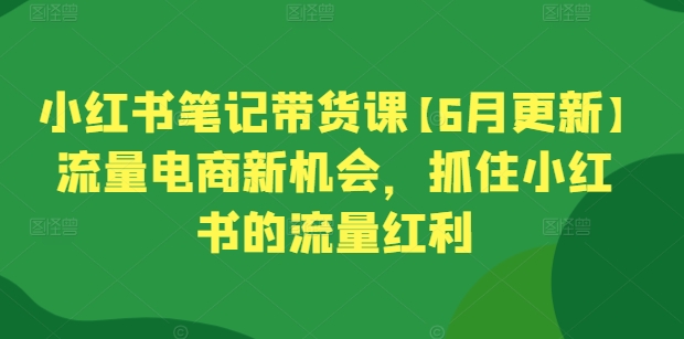 小红书笔记带货课【6月更新】流量电商新机会，抓住小红书的流量红利-木石资源网