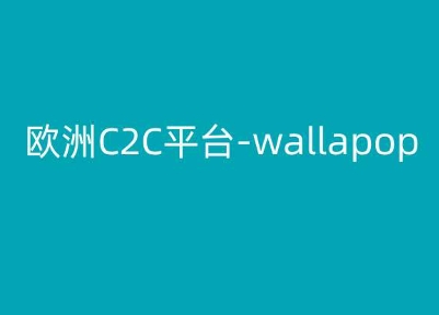欧洲C2C平台-wallapop-kim跨境电商教程-木石资源网
