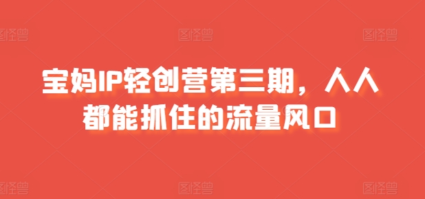 宝妈IP轻创营第三期，人人都能抓住的流量风口-木石资源网