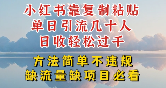 小红书靠复制粘贴单日引流几十人目收轻松过千，方法简单不违规【揭秘】-木石资源网