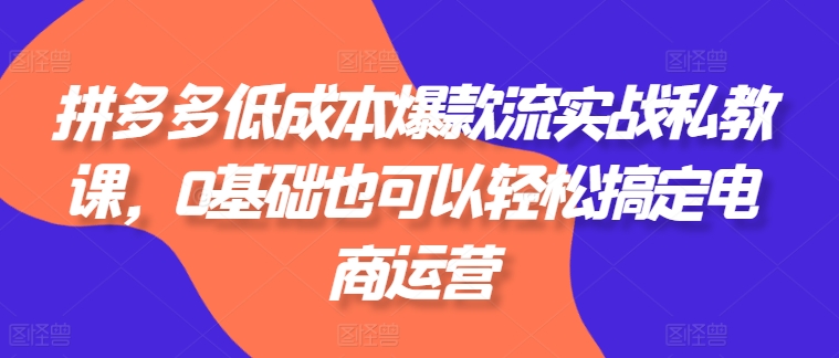 拼多多低成本爆款流实战私教课，0基础也可以轻松搞定电商运营-木石资源网