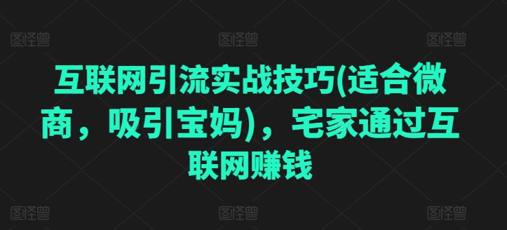 互联网引流实战技巧(适合微商，吸引宝妈)，宅家通过互联网赚钱-木石资源网