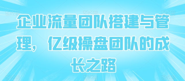 企业流量团队搭建与管理，亿级操盘团队的成长之路-木石资源网