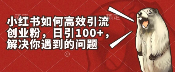 小红书如何高效引流创业粉，日引100+，解决你遇到的问题【揭秘】-木石资源网