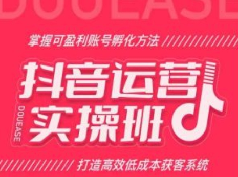 抖音运营实操班，掌握可盈利账号孵化方法，打造高效低成本获客系统-木石资源网