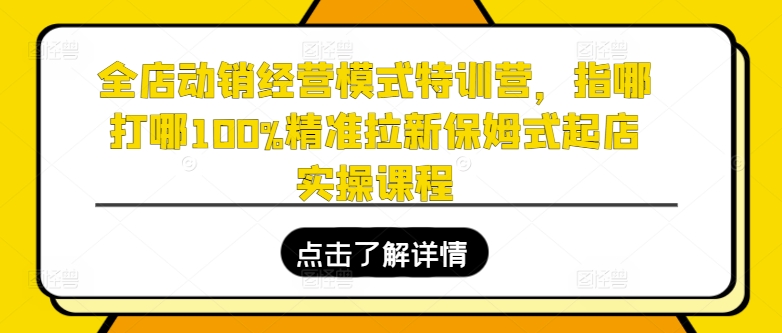 全店动销经营模式特训营，指哪打哪100%精准拉新保姆式起店实操课程-木石资源网