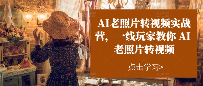 AI老照片转视频实战营，一线玩家教你AI老照片转视频-木石资源网