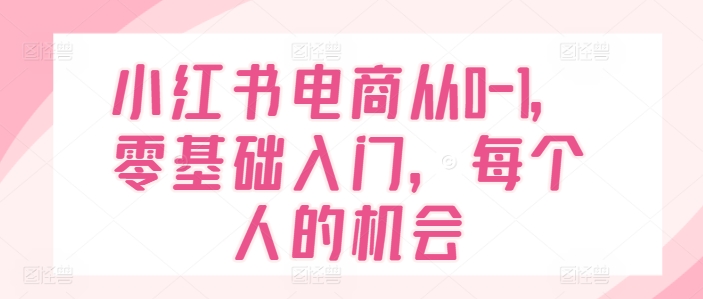 小红书电商从0-1，零基础入门，每个人的机会-木石资源网
