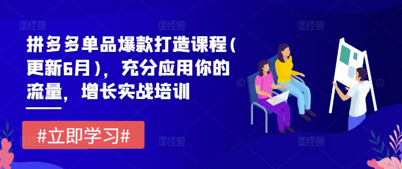 拼多多单品爆款打造课程(更新6月)，充分应用你的流量，增长实战培训-木石资源网