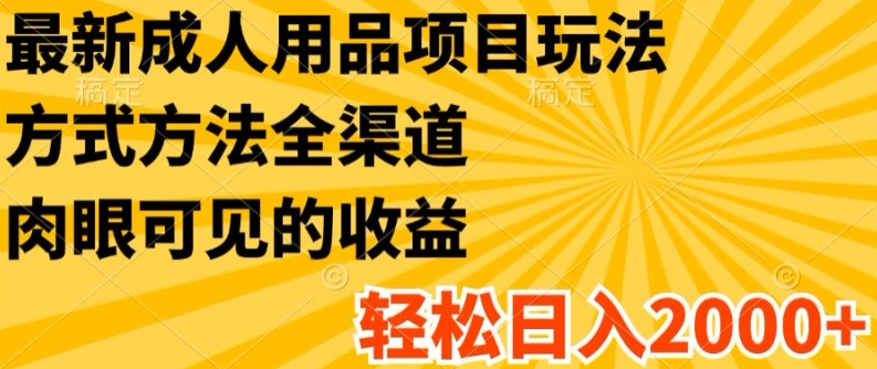最新成人用品项目玩法，方式方法全渠道，轻松日入2K+【揭秘】-木石资源网