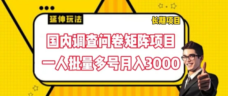 国内调查问卷矩阵项目，一人批量多号月入3000【揭秘】-木石资源网