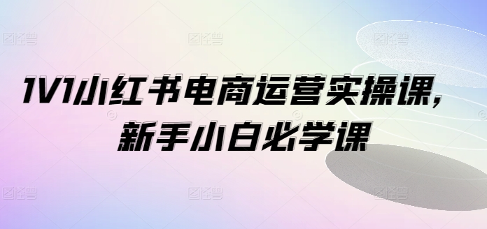 1V1小红书电商运营实操课，新手小白必学课-木石资源网