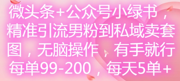 微头条+公众号小绿书，精准引流男粉到私域卖套图，无脑操作，有手就行，每单99-200，每天5单-木石资源网