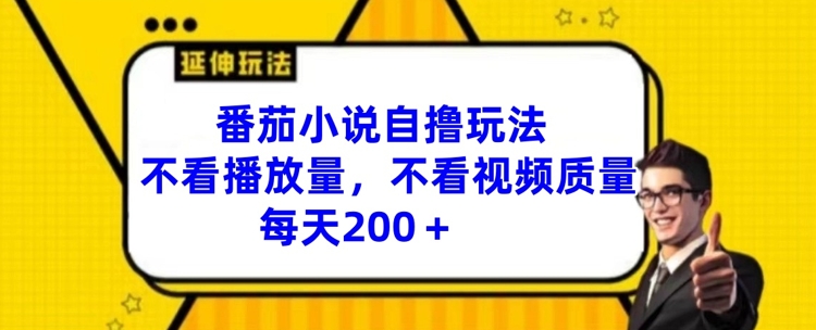 番茄小说自撸玩法，不看播放量，不看视频质量，每天200+【揭秘】-木石资源网