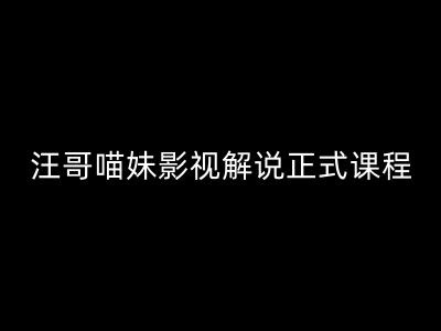 汪哥影视解说正式课程：剪映/PR教学/视解说剪辑5大黄金法则/全流程剪辑7把利器等等-木石资源网
