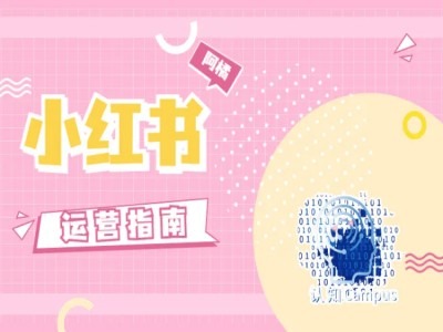 小红书运营指南，没有套路，全是经验-木石资源网