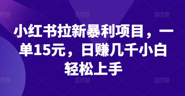 小红书拉新暴利项目，一单15元，日赚几千小白轻松上手【揭秘】-木石资源网