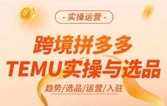 跨境拼多多TEMU实操与选品，多多temu跨境选品运营实操-木石资源网