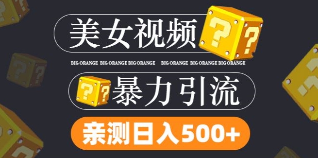 搬运tk美女视频全网分发，日引s粉300+，轻松变现，不限流量不封号【揭秘】-木石资源网