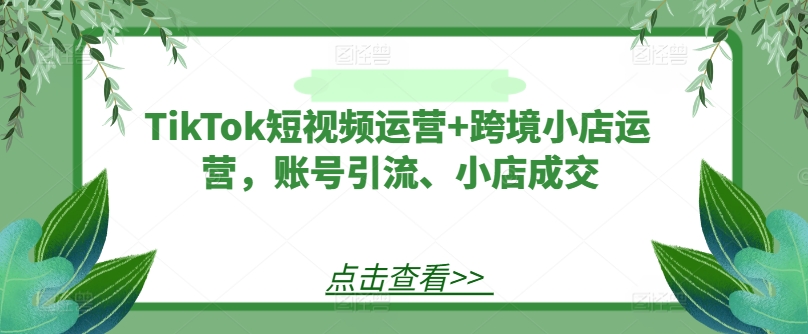 TikTok短视频运营+跨境小店运营，账号引流、小店成交-木石资源网