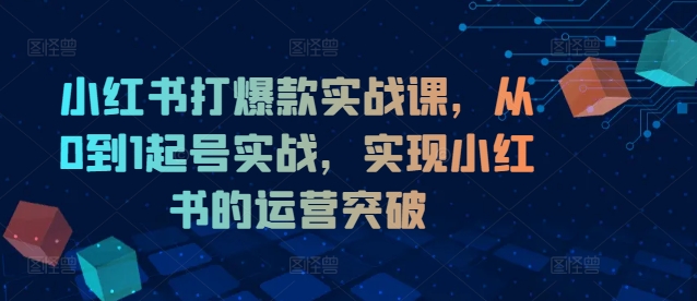 小红书打爆款实战课，从0到1起号实战，实现小红书的运营突破-木石资源网