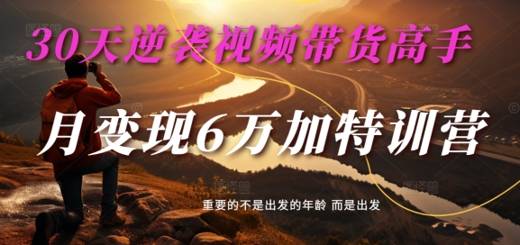 30天逆袭视频带货高手，单月变现6万加特训营-麦子甜-木石资源网