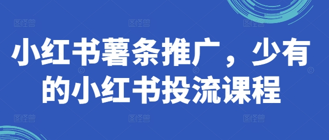 小红书薯条推广，少有的小红书投流课程-木石资源网