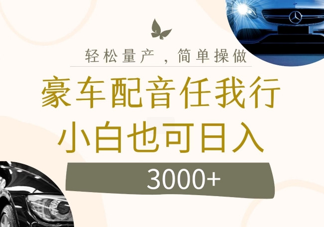 不为人知的暴力小项目，豪车配音，日入几张【揭秘】-木石资源网