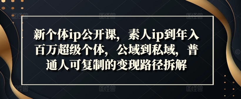 新个体ip公开课，素人ip到年入百万超级个体，公域到私域，普通人可复制的变现路径拆解-木石资源网
