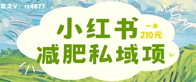 小红书减肥粉，私域变现项目，一单就达210元，小白也能轻松上手【揭秘】-木石资源网