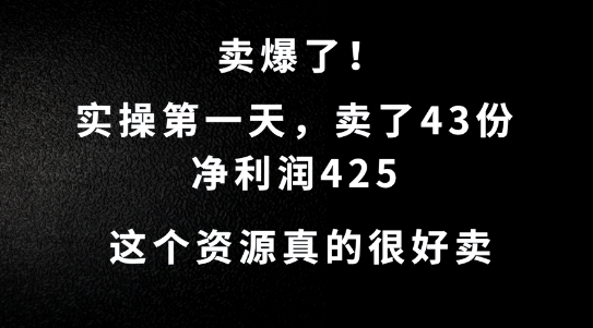 这个资源，需求很大，实操第一天卖了43份，净利润425【揭秘】-木石资源网