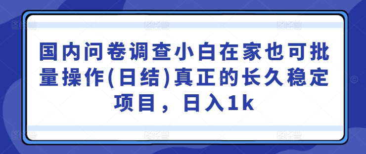 国内问卷调查小白在家也可批量操作(日结)真正的长久稳定项目，日入1k【揭秘】-木石资源网