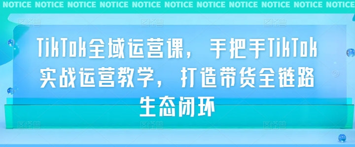 TikTok全域运营课，手把手TikTok实战运营教学，打造带货全链路生态闭环-木石资源网