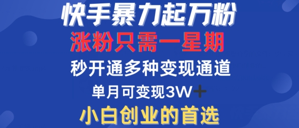 快手暴力起万粉，涨粉只需一星期，多种变现模式，直接秒开万合，单月变现过W【揭秘】-木石资源网