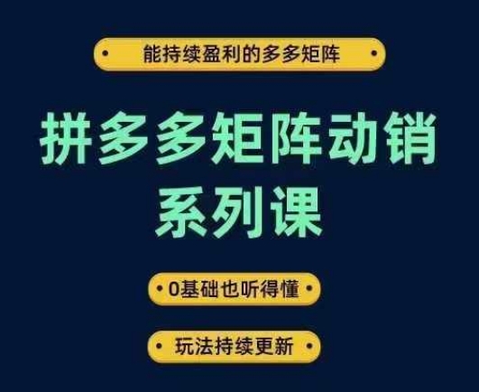 拼多多矩阵动销系列课，能持续盈利的多多矩阵，0基础也听得懂，玩法持续更新-木石资源网