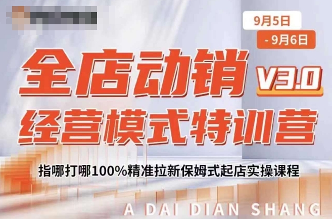 全店动销经营模式特训营，指哪打哪100%精准拉新保姆式起店实操课程-木石资源网