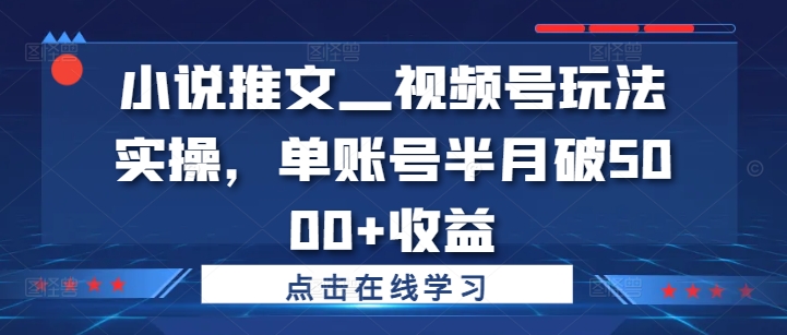 小说推文—视频号玩法实操，单账号半月破5000+收益-木石资源网