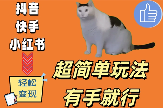 超简单玩法，有手就行，靠猫咪视频日入500+【揭秘】-木石资源网