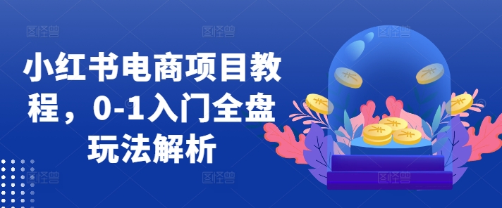 小红书电商项目教程，0-1入门全盘玩法解析-木石资源网
