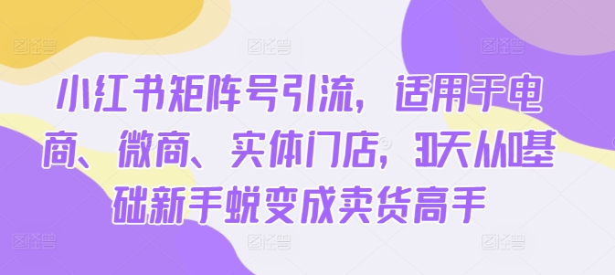 小红书矩阵号引流，适用于电商、微商、实体门店，30天从0基础新手蜕变成卖货高手-木石资源网