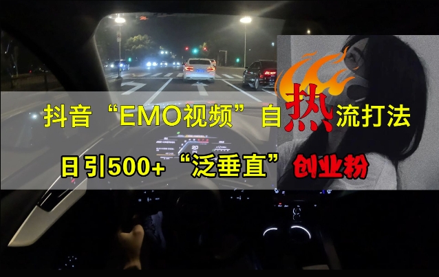 抖音EMO视频自热打法，日引500+“泛垂直”创业粉-木石资源网