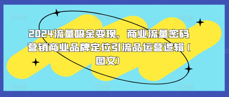 2024流量吸金变现，商业流量密码营销商业品牌定位引流品运营逻辑(图文)-木石资源网